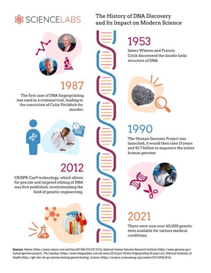 Insights And Discoveries You'll Savor